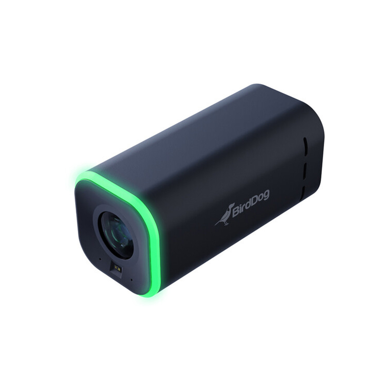 Birddog PTZ Cameras