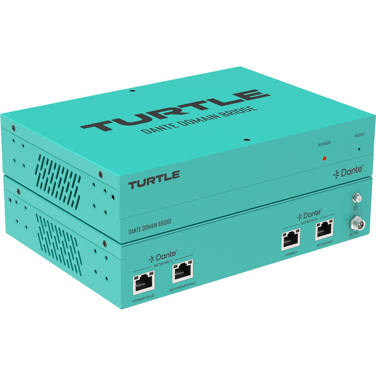 Turtle AV Mineola / Dante Bridges