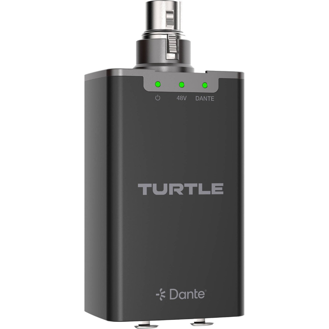 Turtle AV Dante Amplifier