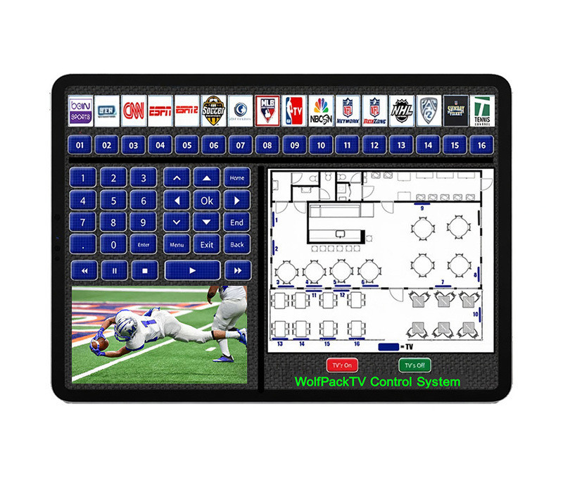 Custom TV Control Systems