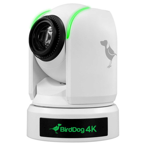 BirdDog BDP4KWHITE 4K Full NDI PTZ Camera with 1-Inch Sony Sensor - White