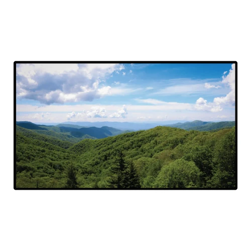Hall Technologies HT-HV55 55 Inch 4K 24/7 Display