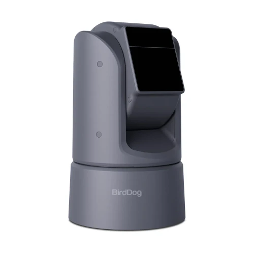 BirdDog BDO4GR O4 Outdoor PTZ Camera with 30x Optical Zoom, Gray