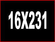 16X231 - DBX1 - 287 WH - 1738 (A)