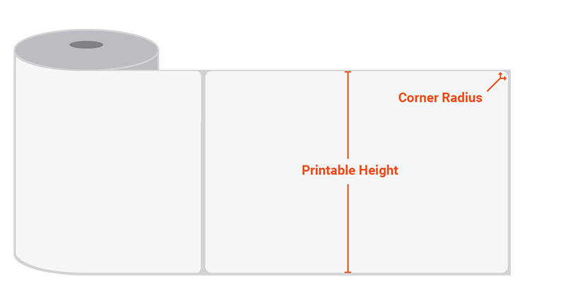Sizing Chart Table Guide
