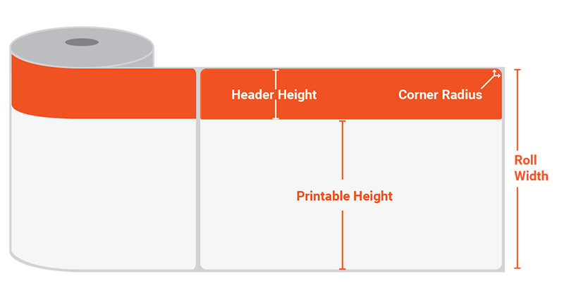 Sizing Chart Table Guide