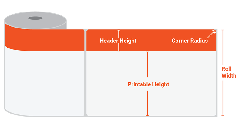 Sizing Chart Table Guide