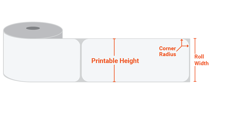 Sizing Chart Table Guide