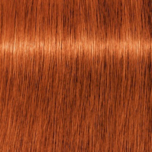  Schwarzkopf Igora Royal, 6-77 Dark Blonde Copper