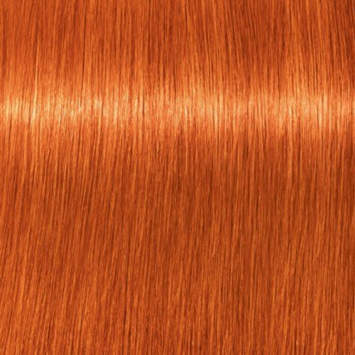  Schwarzkopf Igora Royal, 6-77 Dark Blonde Copper Extra, 60ml :  Beauty & Personal Care