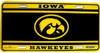 Iowa Hawkeyes NCAA Team Color License Plate