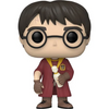 Harry Potter and the Chamber of Secrets 20th Anniversary Pop! Vinyl Figure