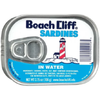 Beach Cliff Sardines in Water