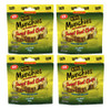 Mt. Olive Munchies The Portable Pickle Sweet Heat Chips 4 Pack