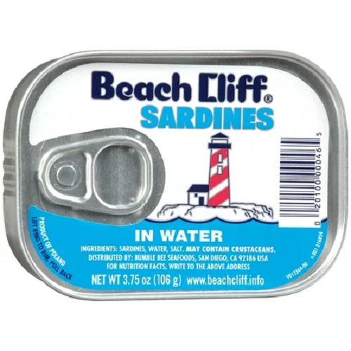 Beach Cliff Sardines in Water