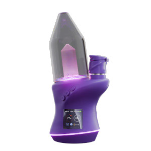 Focus V CARTA 2 Grape Focus V CARTA 2 Grape