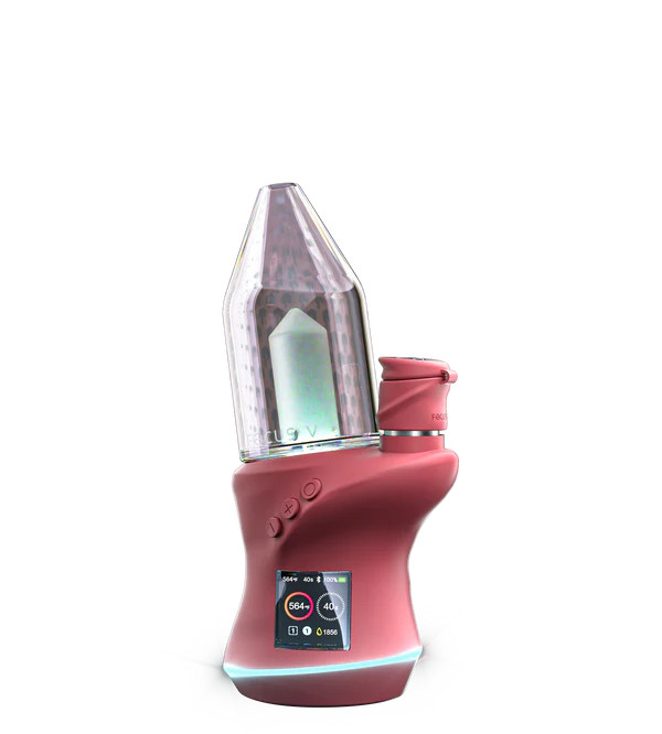 Focus V CARTA 2 Bordeaux