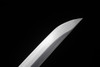 Scratch and Dent Pro 1060 Steel Tanto #2