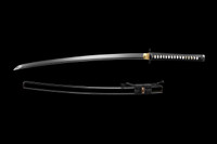 Dojo Pro Katana Model #24