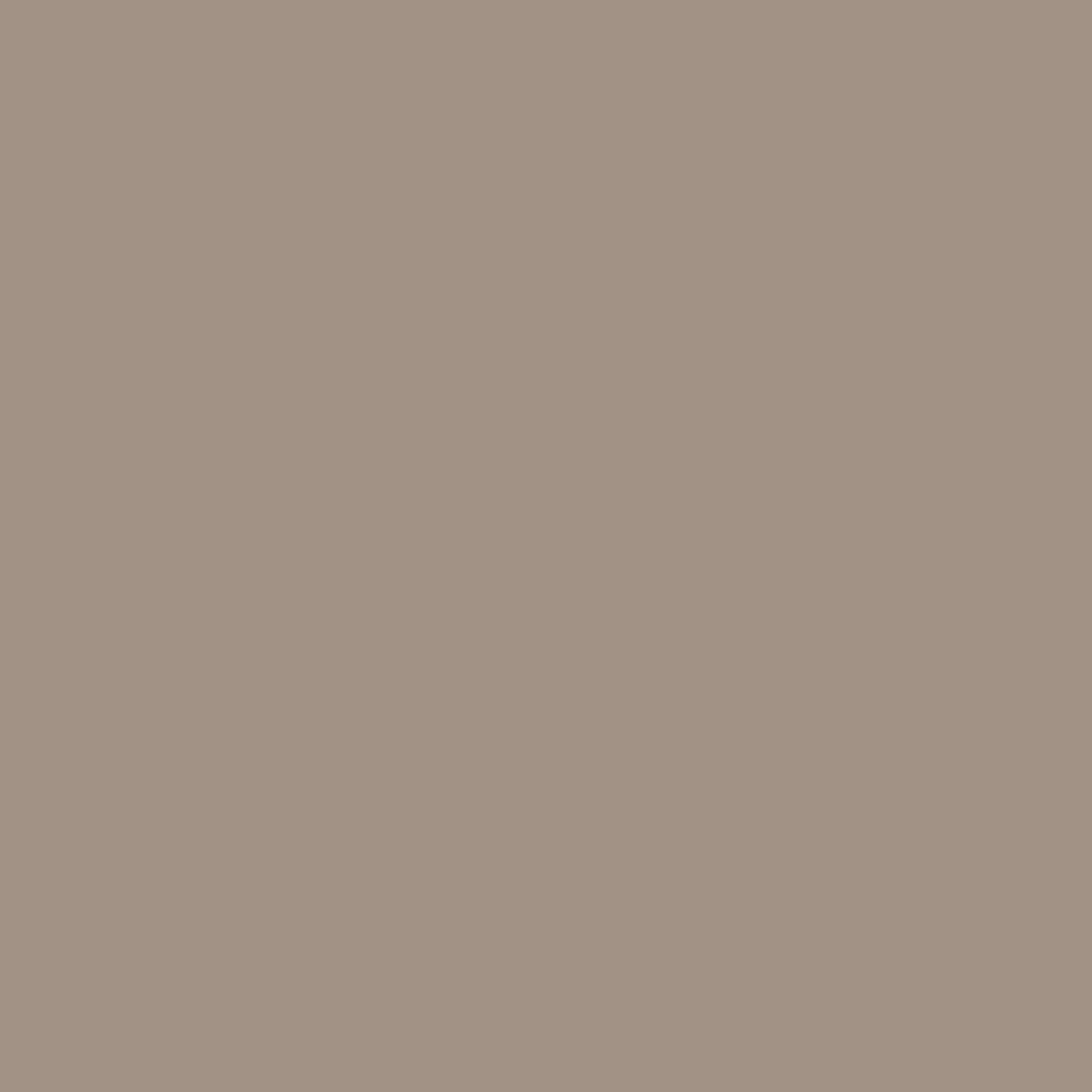 Caran D'ache - Luminance Coloured Pencil - Raw Umber 50%