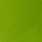W&N Artists' Oils - Cadmium Green Pale S4 - 37ml