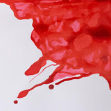 W&N Drawing Ink - Scarlet - 14ml