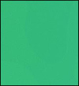 Faber Castell Polychromos Pencil - Chrome Oxide Green Fiery
