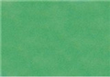 Sennelier Soft Pastels - Viridian 254