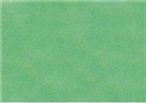 Sennelier Soft Pastels - Viridian 256