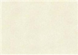 Sennelier Soft Pastels - Moss Grey Green 176