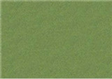 Sennelier Oil Pastels - Sap Green Light 088