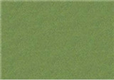 Sennelier Oil Pastels - Sap Green Light 088