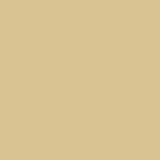 Caran D'ache - Luminance Coloured Pencil - Olive Brown 10%