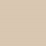 Caran D'ache - Luminance Coloured Pencil - Raw Umber 10%