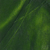 R&F Pigment Stick - Sap Green - Series IV