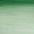 W&N Cotman Watercolour - Hooker's Green Dark
