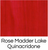 Spectrum Studio Oil - Rose Madder Quinacridone S3 - 225ml