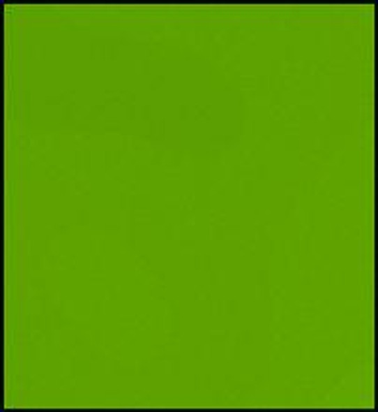 Faber Castell Pitt Pastel Pencil - Earth Green Yellowish