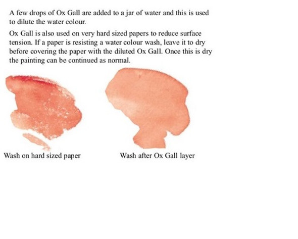 Winsor & Newton - Ox Gall Liquid - 75ml