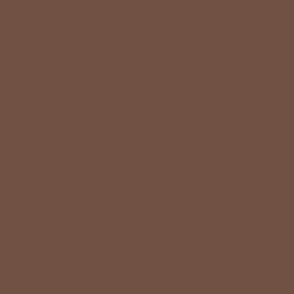 Caran D'ache - Neopastel Oil Pastel - Brown