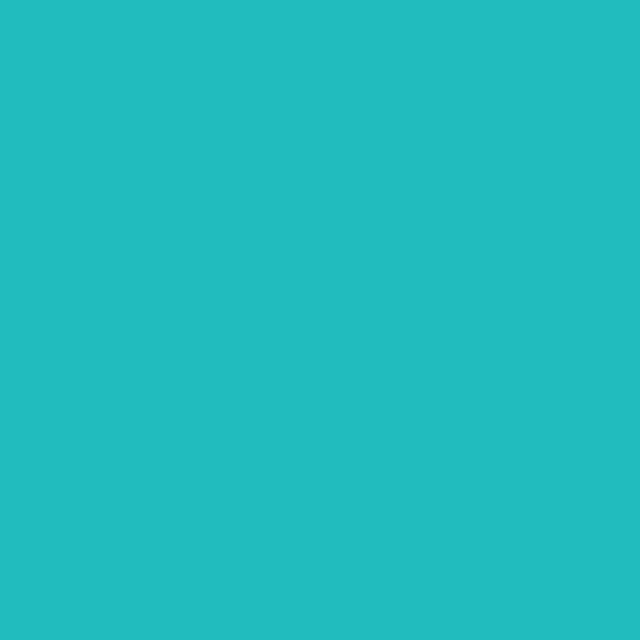 Caran D'ache - Neocolor I Water Resistant Pastel - Turquoise Blue 