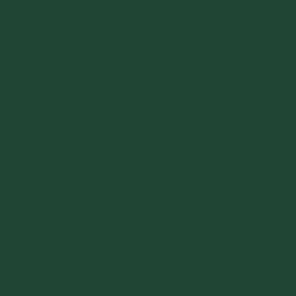 Caran D'ache - Luminance Coloured Pencil - Dark Phthalo Green