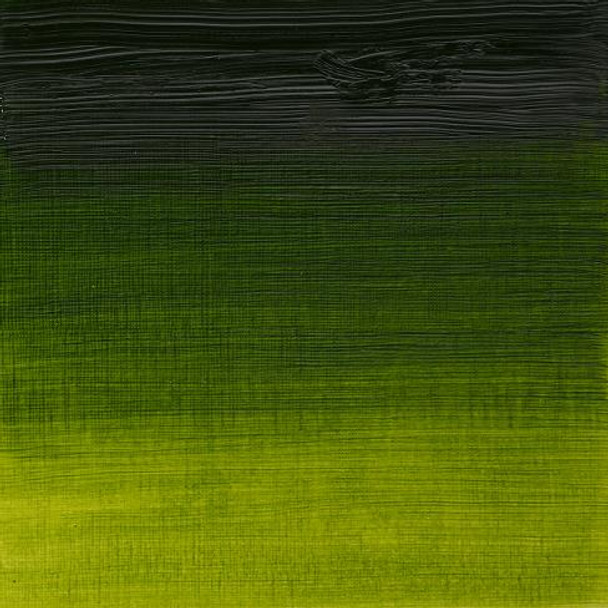 W&N Artists' Oils - Sap Green S2