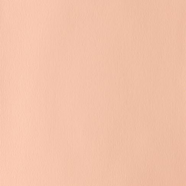 Winsor & Newton Designers' Gouache - Pale Rose Blush S1 - 14ml