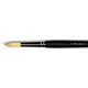 Atlantis - 9955 Hog Brush - Round