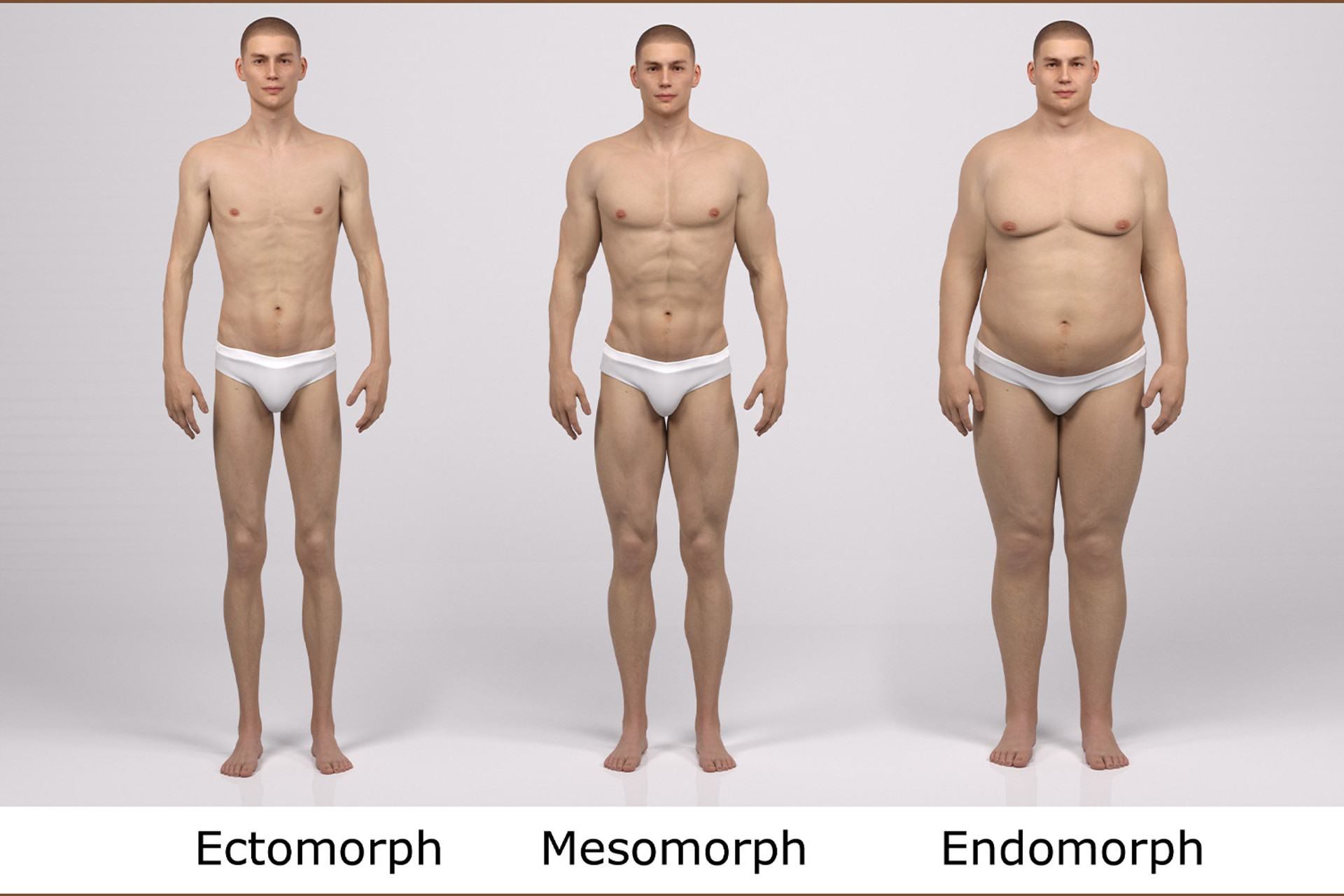 best diet for ecto mesomorph