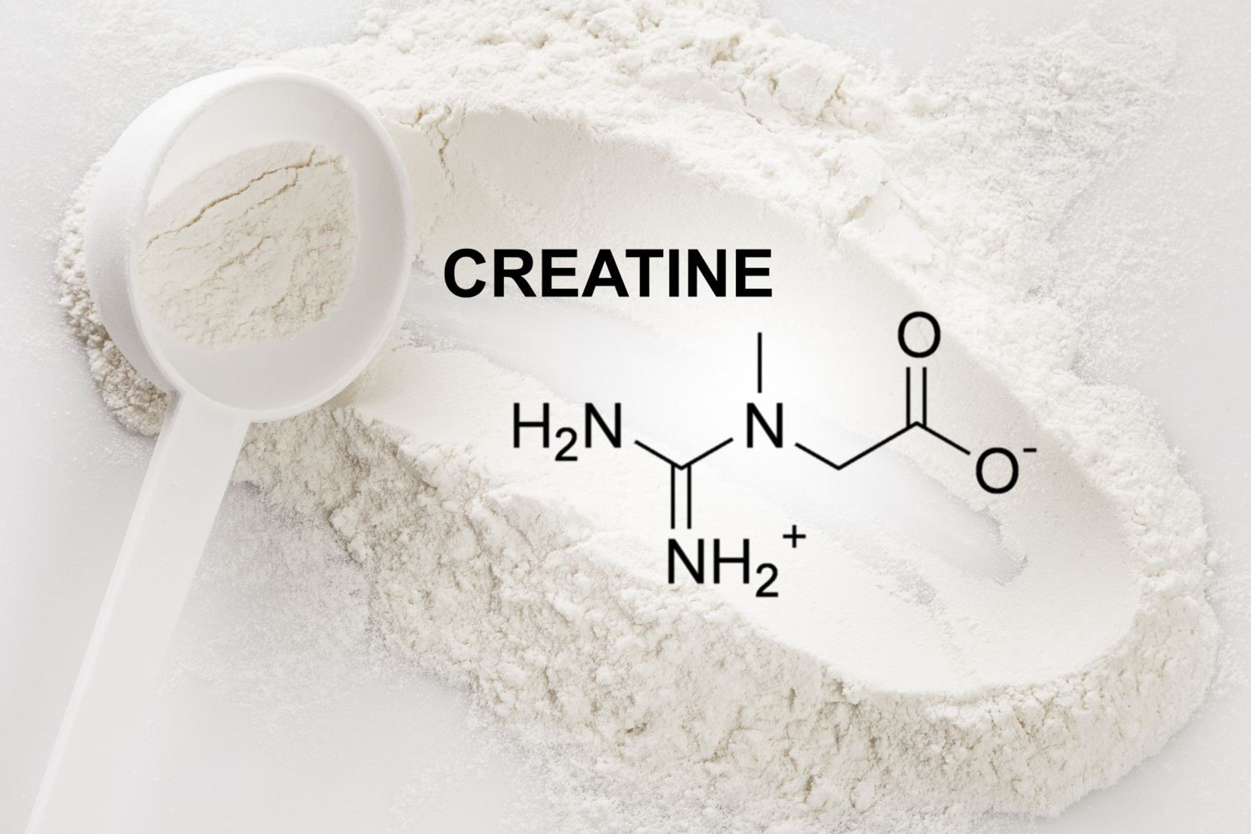 Should You Take Creatine Before or After a Workout?