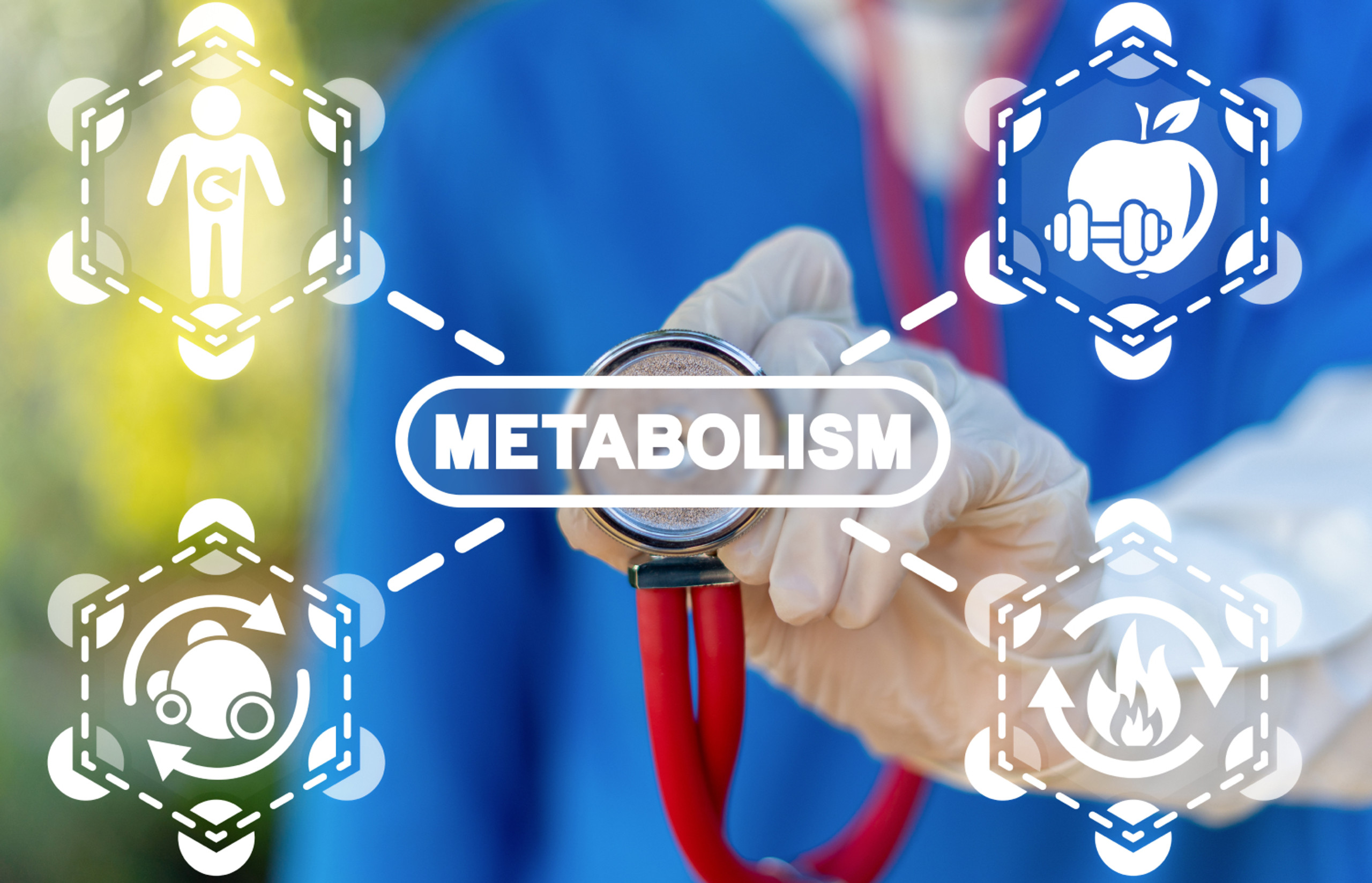 Metabolic Typing: 3 Diet Plans for Optimal Health