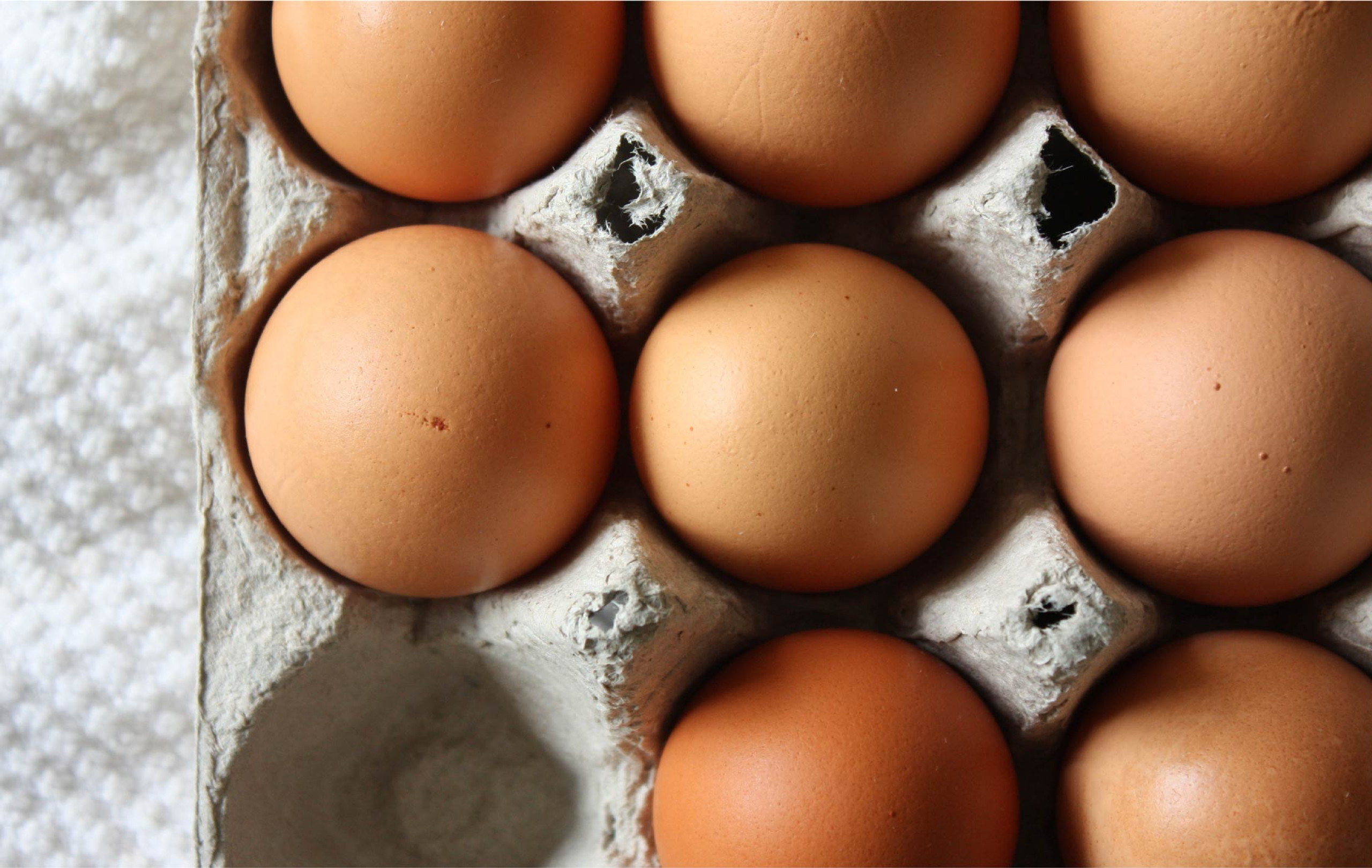 Are Eggs Good For You?