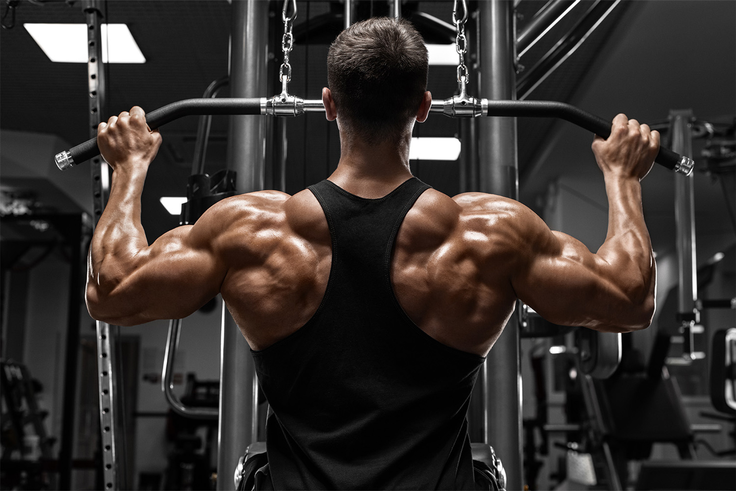 Shoulder and Back Workouts You Should Include in Your Routine - My